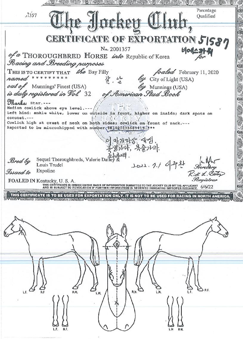 ºñ¿¡½ºÆÄ¿öÀÇ Ãø¸é,¿ì¸é,µÞ¸é,µÎ»ó,´Ù¸®ÀÇ Æ¯Â¡µµÇØ