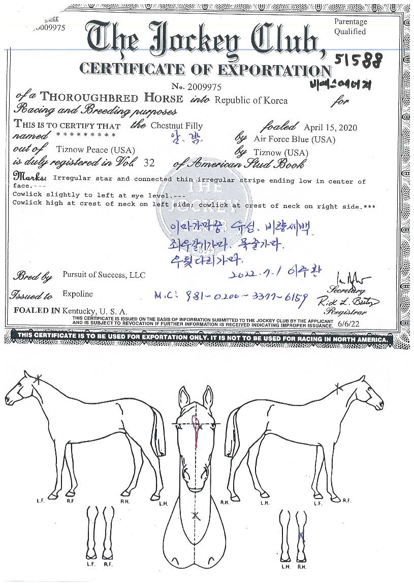 ºñ¿¡½º¿¡³ÊÁöÀÇ Ãø¸é,¿ì¸é,µÞ¸é,µÎ»ó,´Ù¸®ÀÇ Æ¯Â¡µµÇØ