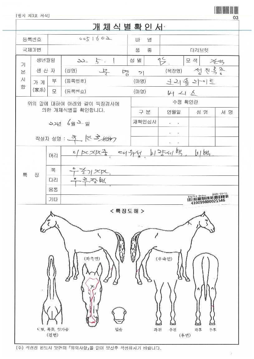 �����ټ��� ����,���,�޸�,�λ�,�ٸ��� Ư¡����