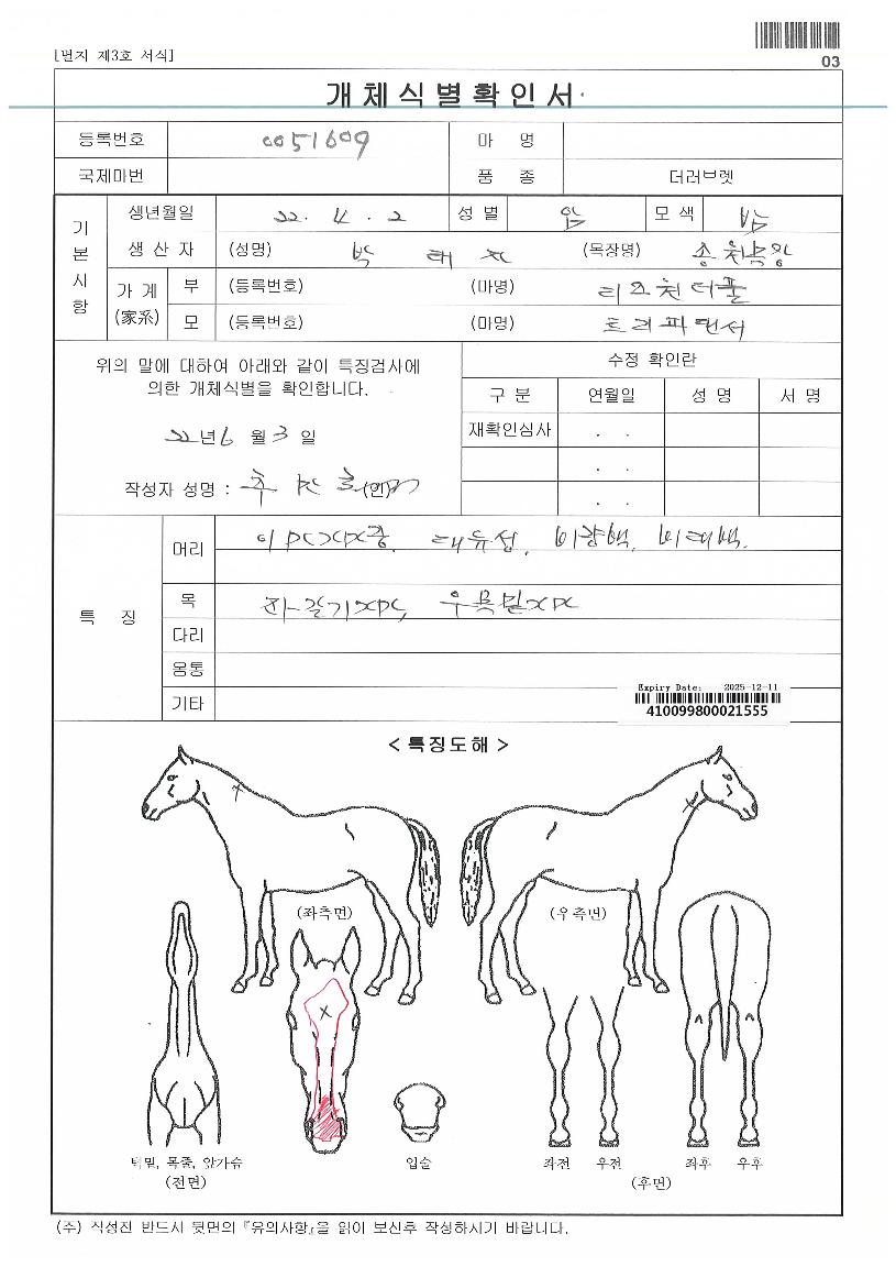 Ʈ���Ǵ����ڸ��� ����,���,�޸�,�λ�,�ٸ��� Ư¡����