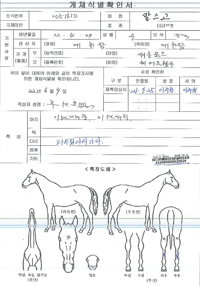 ¸»½º°íÀÇ Ãø¸é,¿ì¸é,µÞ¸é,µÎ»ó,´Ù¸®ÀÇ Æ¯Â¡µµÇØ