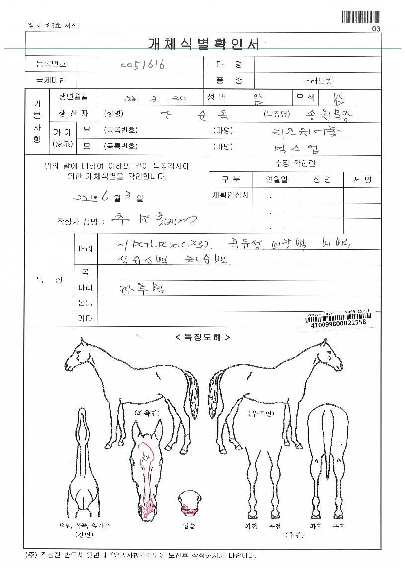 ¹Í½º¾÷ÀÚ¸¶ÀÇ Ãø¸é,¿ì¸é,µÞ¸é,µÎ»ó,´Ù¸®ÀÇ Æ¯Â¡µµÇØ