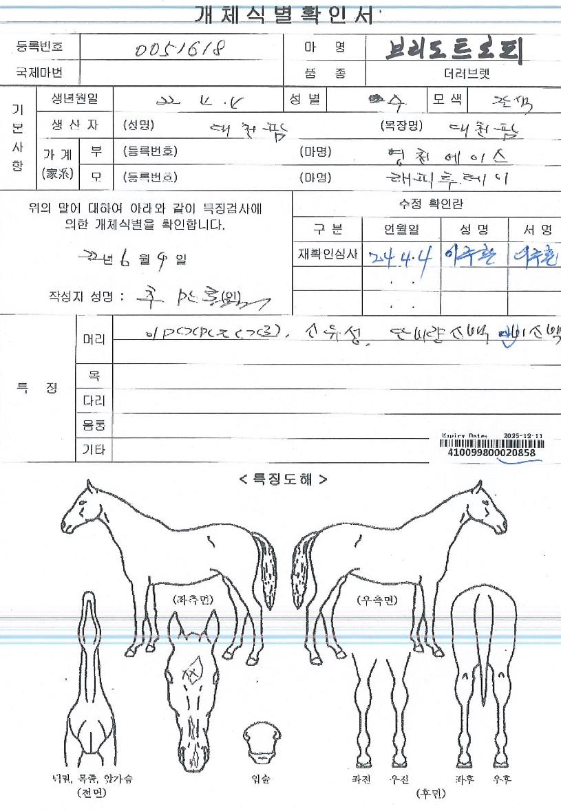 ºê¸®µµÆ®·ÎÇÇÀÇ Ãø¸é,¿ì¸é,µÞ¸é,µÎ»ó,´Ù¸®ÀÇ Æ¯Â¡µµÇØ