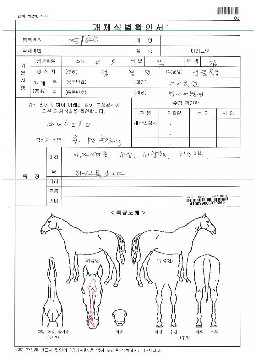 µñ½ÃÀ§³ÊÀÇ Ãø¸é,¿ì¸é,µÞ¸é,µÎ»ó,´Ù¸®ÀÇ Æ¯Â¡µµÇØ