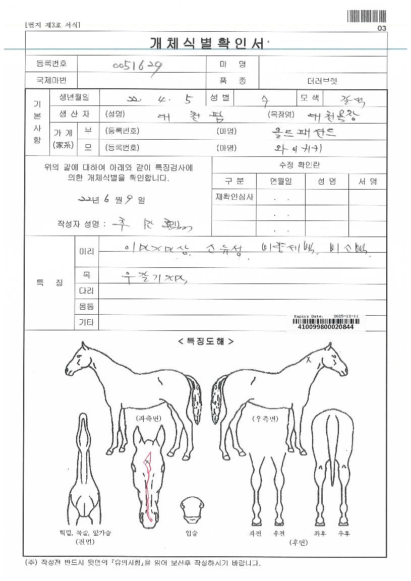 Ç÷º½º¿£ÁøÀÇ Ãø¸é,¿ì¸é,µÞ¸é,µÎ»ó,´Ù¸®ÀÇ Æ¯Â¡µµÇØ