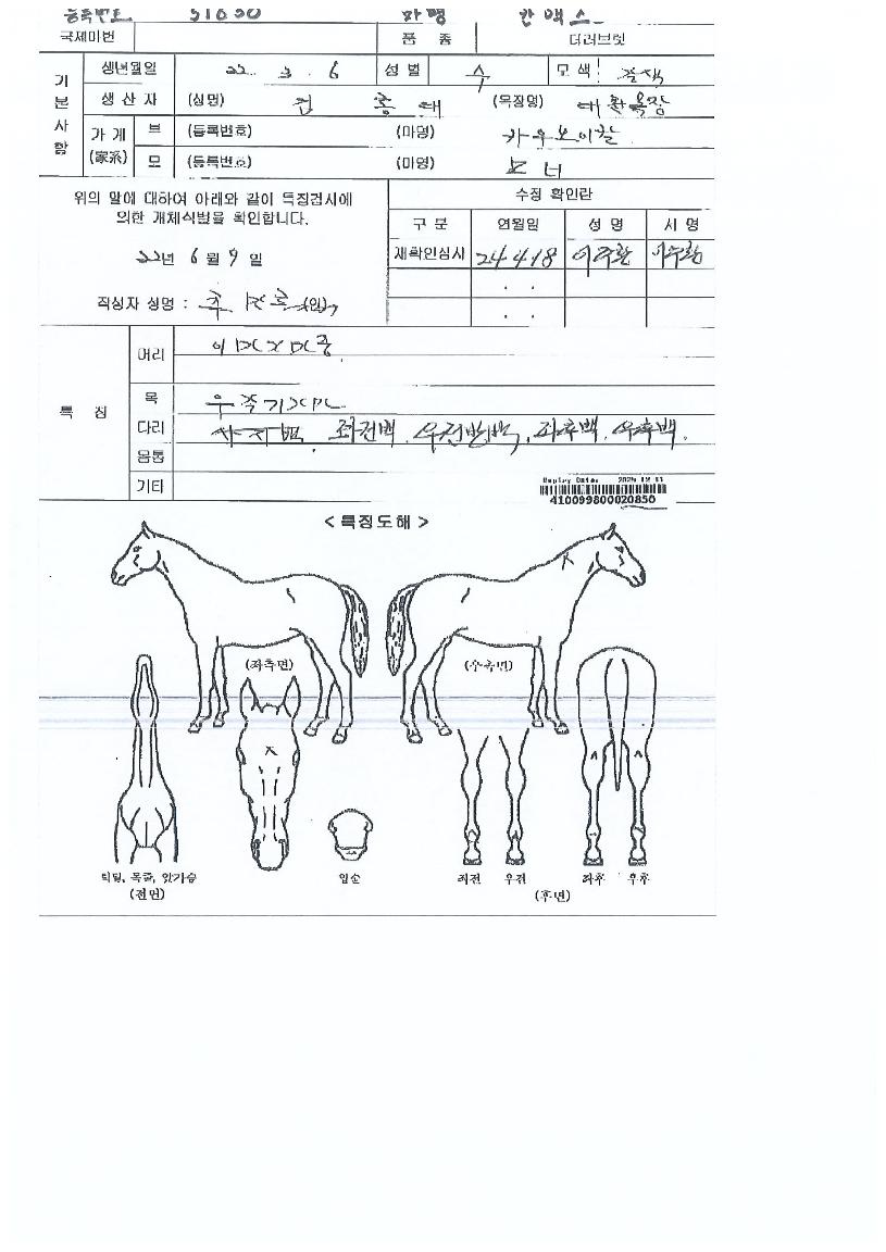 ĸƽºÀÇ Ãø¸é,¿ì¸é,µÞ¸é,µÎ»ó,´Ù¸®ÀÇ Æ¯Â¡µµÇØ