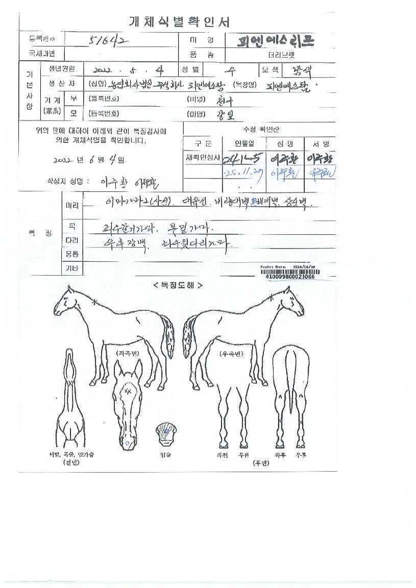 ÇÇ¿£¿¡½º¸®ÇÁÀÇ Ãø¸é,¿ì¸é,µÞ¸é,µÎ»ó,´Ù¸®ÀÇ Æ¯Â¡µµÇØ