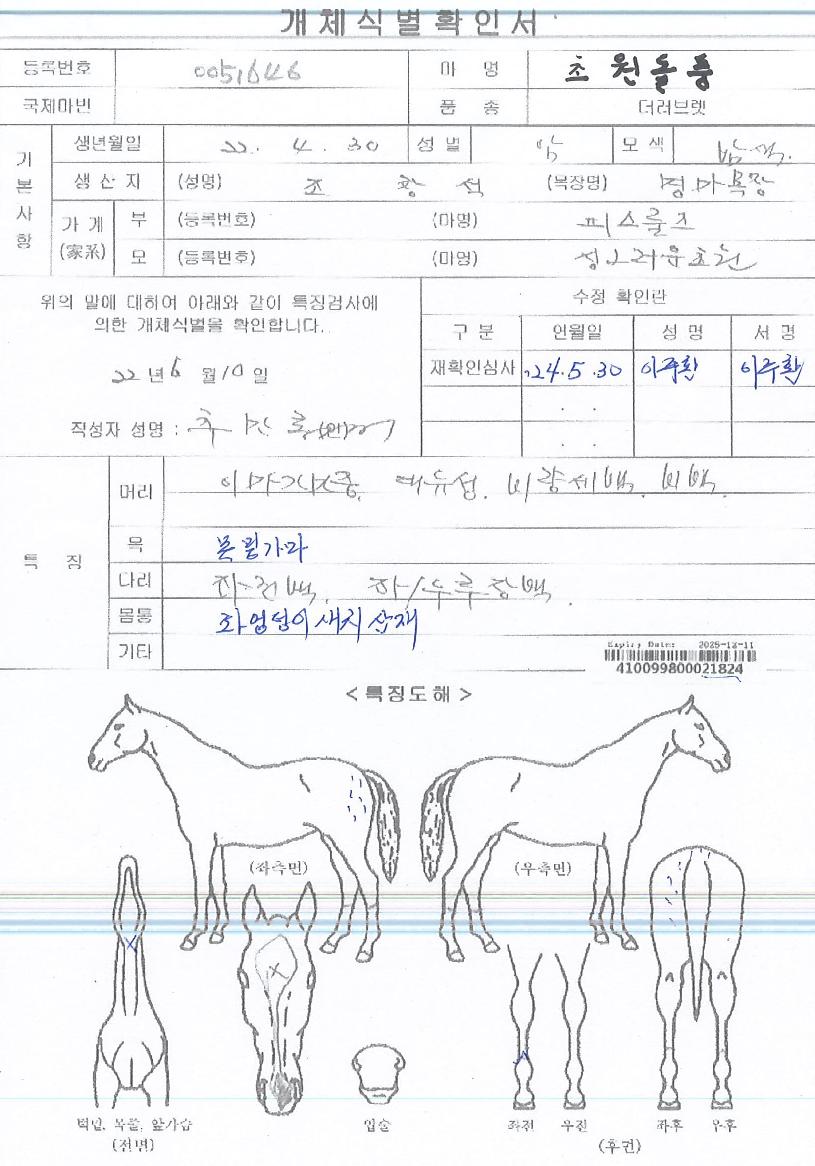 �ʿ���ǳ�� ����,���,�޸�,�λ�,�ٸ��� Ư¡����