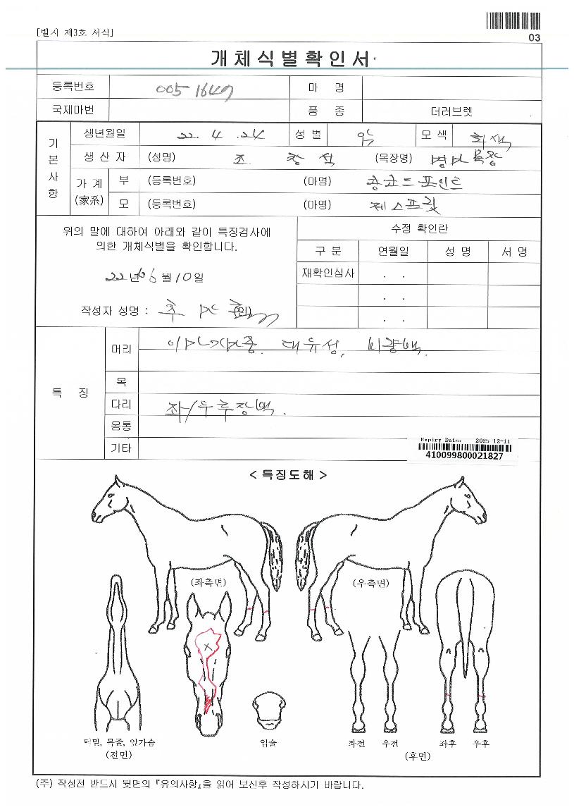 °¶·´ÄýÀÇ Ãø¸é,¿ì¸é,µÞ¸é,µÎ»ó,´Ù¸®ÀÇ Æ¯Â¡µµÇØ