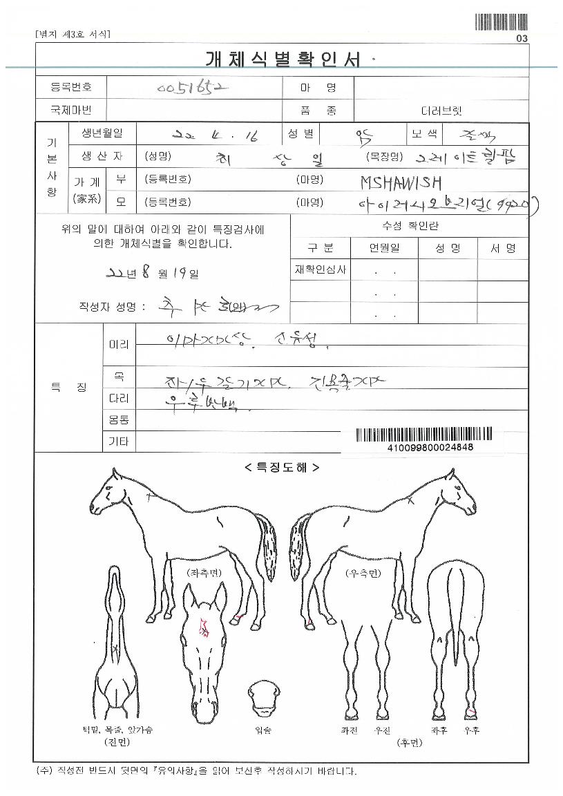 ¸®¾óÀ§½ÃÀÇ Ãø¸é,¿ì¸é,µÞ¸é,µÎ»ó,´Ù¸®ÀÇ Æ¯Â¡µµÇØ