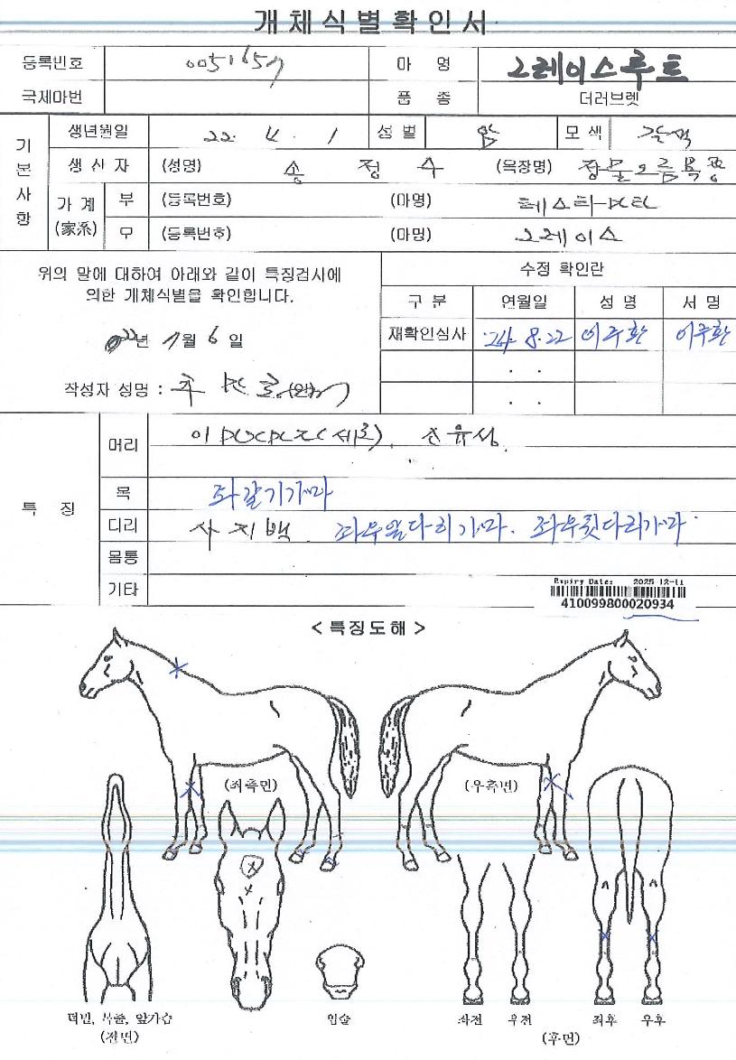 �׷��̽���Ʈ�� ����,���,�޸�,�λ�,�ٸ��� Ư¡����