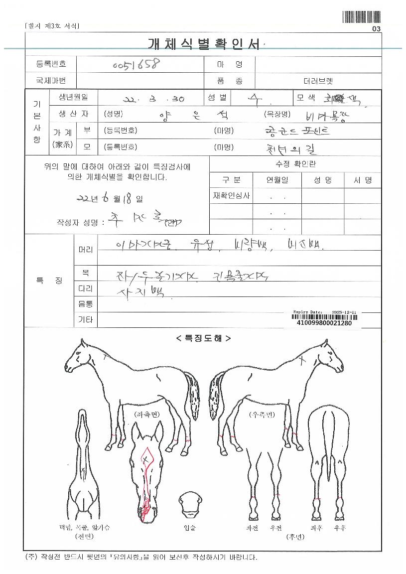 õ���Ǳ��ڸ��� ����,���,�޸�,�λ�,�ٸ��� Ư¡����