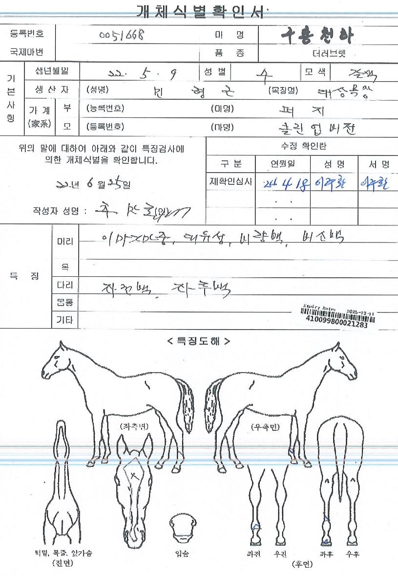 ����õ���� ����,���,�޸�,�λ�,�ٸ��� Ư¡����