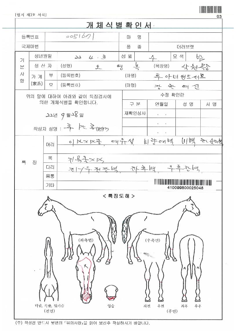 °ÇÑ¿©½ÅÀÚ¸¶ÀÇ Ãø¸é,¿ì¸é,µÞ¸é,µÎ»ó,´Ù¸®ÀÇ Æ¯Â¡µµÇØ