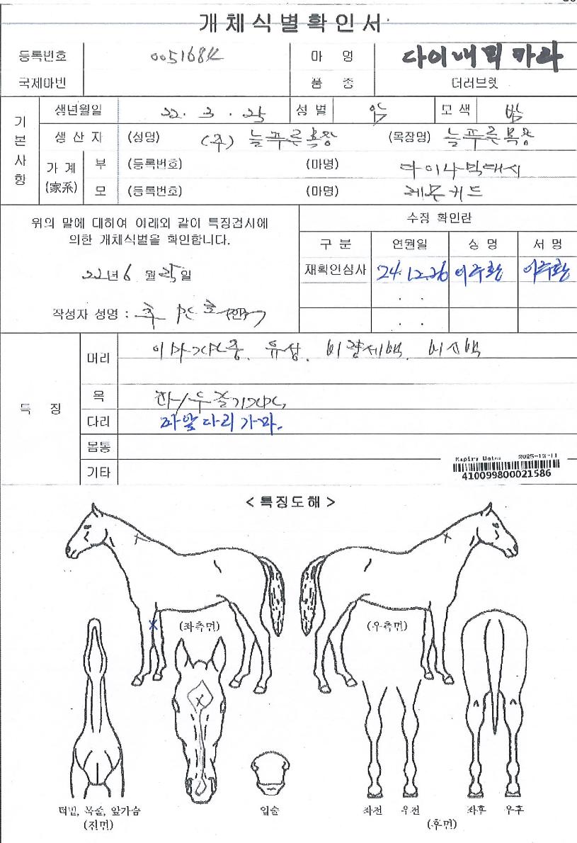 ´ÙÀ̳»¹ÍÄ«¶óÀÇ Ãø¸é,¿ì¸é,µÞ¸é,µÎ»ó,´Ù¸®ÀÇ Æ¯Â¡µµÇØ