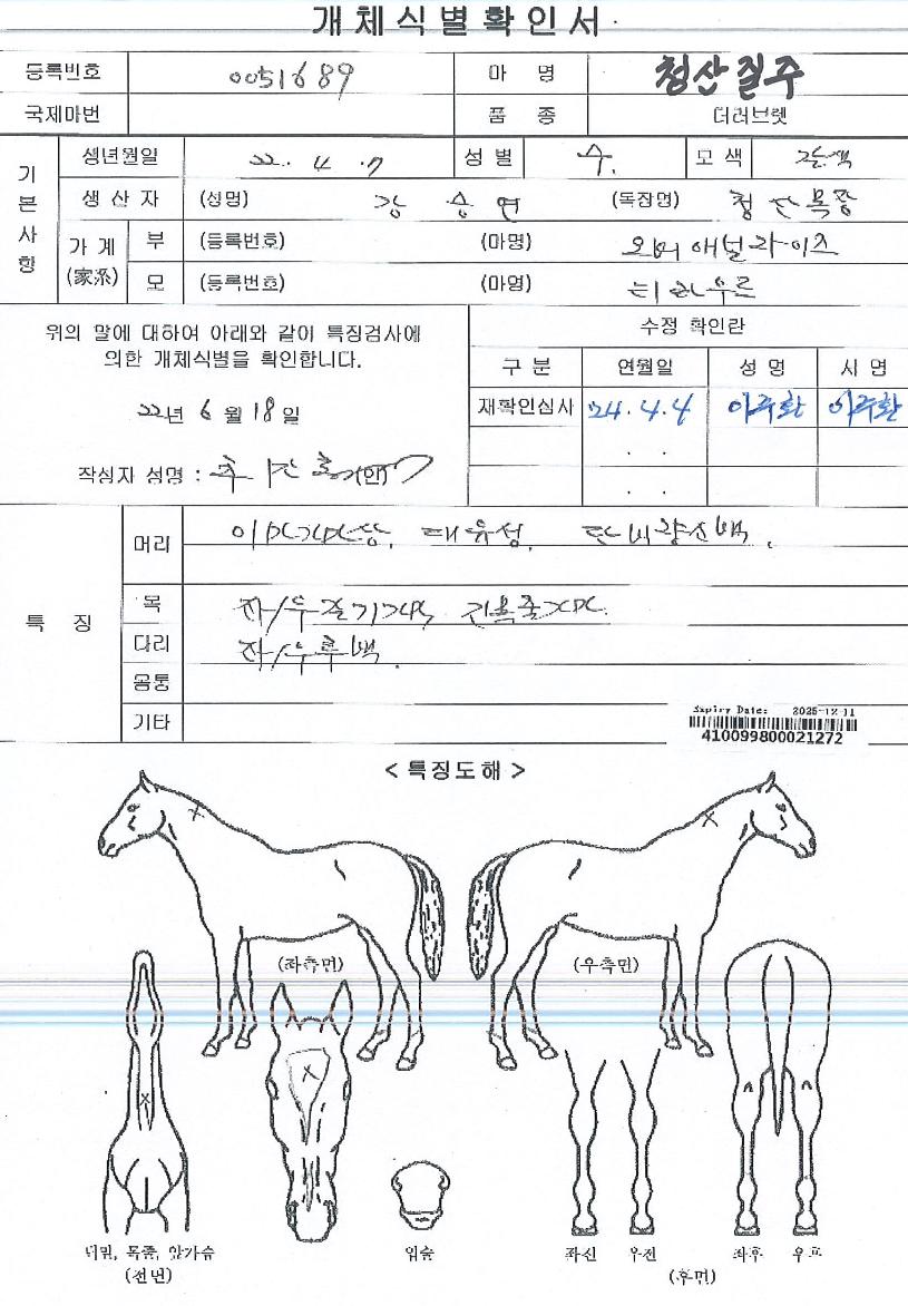 û»êÁúÁÖÀÇ Ãø¸é,¿ì¸é,µÞ¸é,µÎ»ó,´Ù¸®ÀÇ Æ¯Â¡µµÇØ