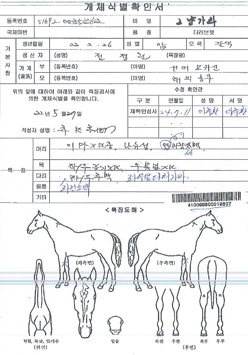 ±×³É°¡¶óÀÇ Ãø¸é,¿ì¸é,µÞ¸é,µÎ»ó,´Ù¸®ÀÇ Æ¯Â¡µµÇØ