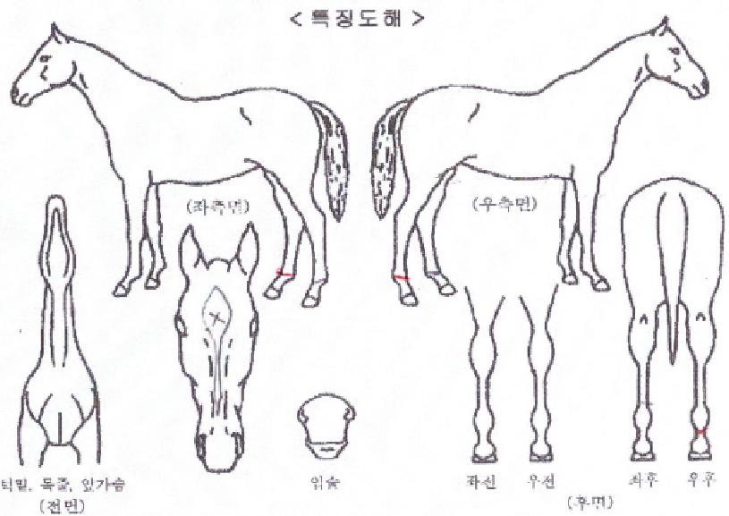 �Ʊ״��� ����,���,�޸�,�λ�,�ٸ��� Ư¡����