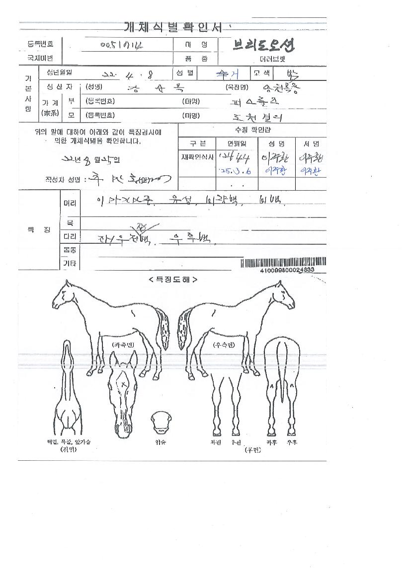 ºê¸®µµ¿À¼ÇÀÇ Ãø¸é,¿ì¸é,µÞ¸é,µÎ»ó,´Ù¸®ÀÇ Æ¯Â¡µµÇØ