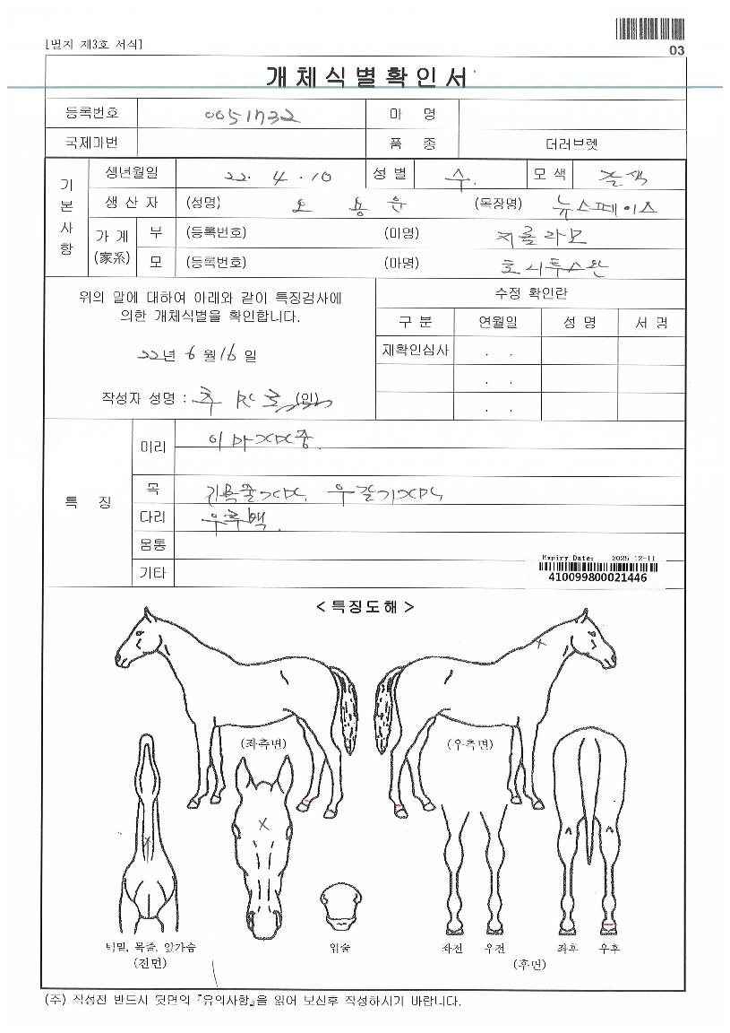 °ñµå½º¿ÏÀÇ Ãø¸é,¿ì¸é,µÞ¸é,µÎ»ó,´Ù¸®ÀÇ Æ¯Â¡µµÇØ