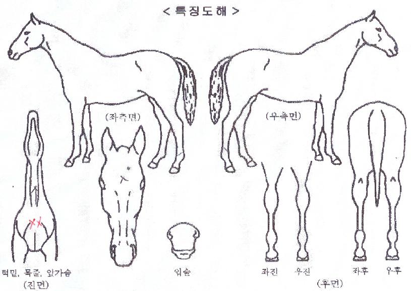 �÷��������� ����,���,�޸�,�λ�,�ٸ��� Ư¡����