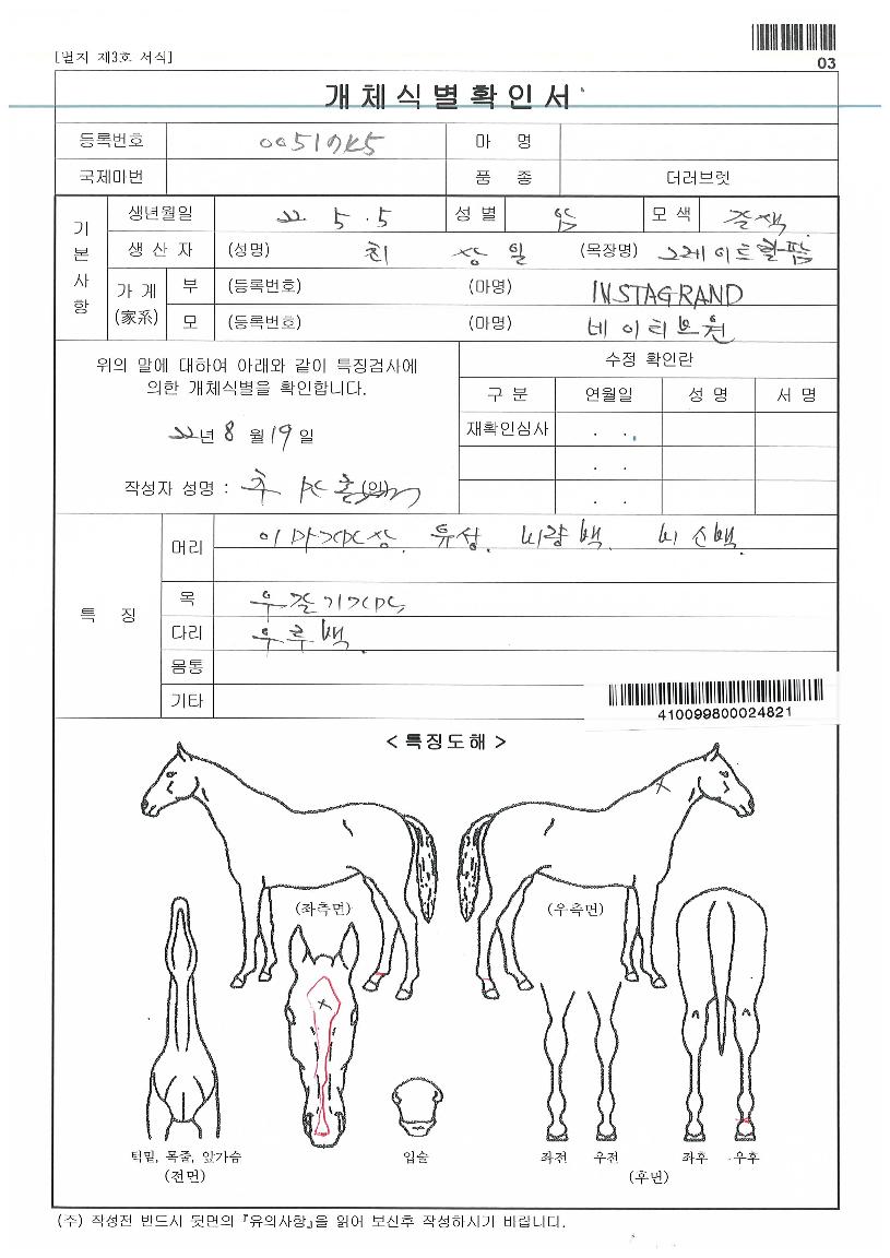 ����Ƽ�꽺Ÿ�� ����,���,�޸�,�λ�,�ٸ��� Ư¡����