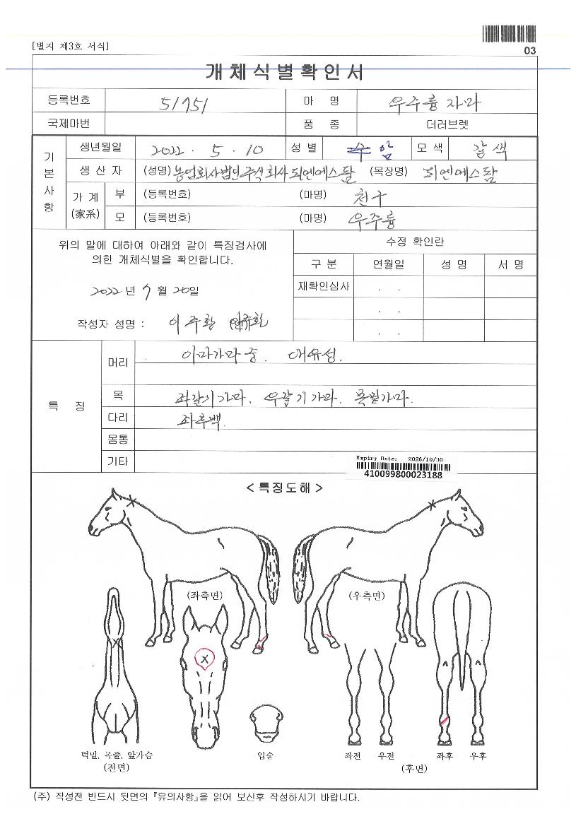 ¿ìÁÖ¸¢ÀÚ¸¶ÀÇ Ãø¸é,¿ì¸é,µÞ¸é,µÎ»ó,´Ù¸®ÀÇ Æ¯Â¡µµÇØ