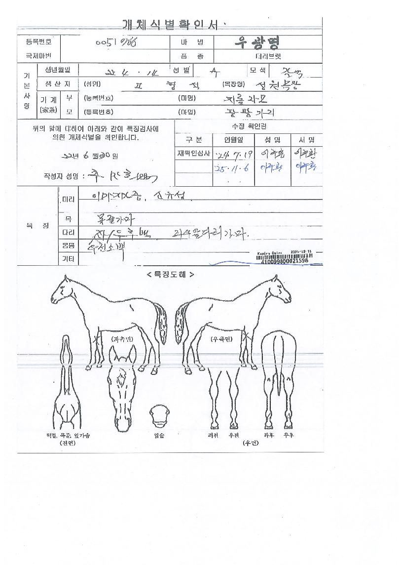 ¿ì±¤¸íÀÇ Ãø¸é,¿ì¸é,µÞ¸é,µÎ»ó,´Ù¸®ÀÇ Æ¯Â¡µµÇØ