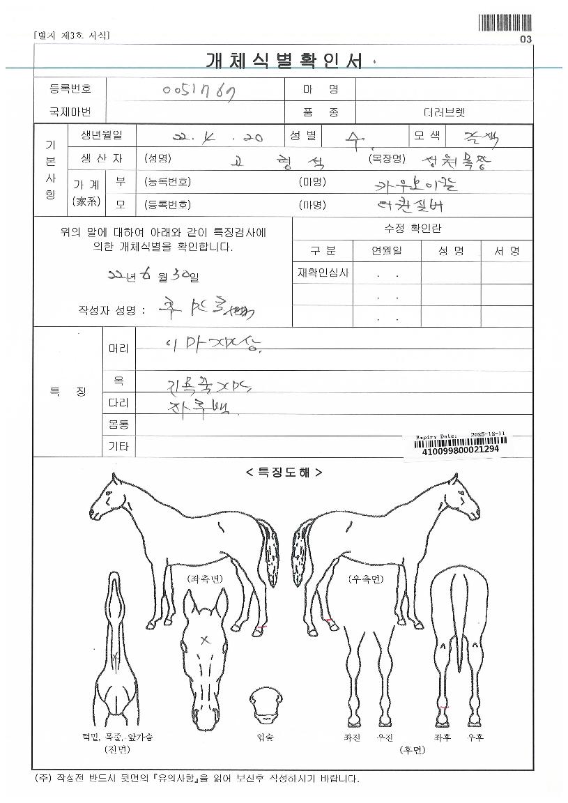 ´õÄý½Ç¹öÀÚ¸¶ÀÇ Ãø¸é,¿ì¸é,µÞ¸é,µÎ»ó,´Ù¸®ÀÇ Æ¯Â¡µµÇØ