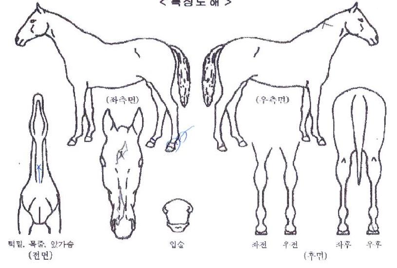 �̽���Ű���� ����,���,�޸�,�λ�,�ٸ��� Ư¡����