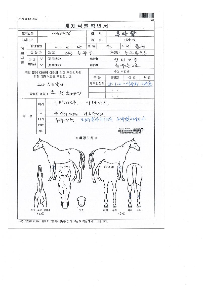 �Ĵٴ��� ����,���,�޸�,�λ�,�ٸ��� Ư¡����