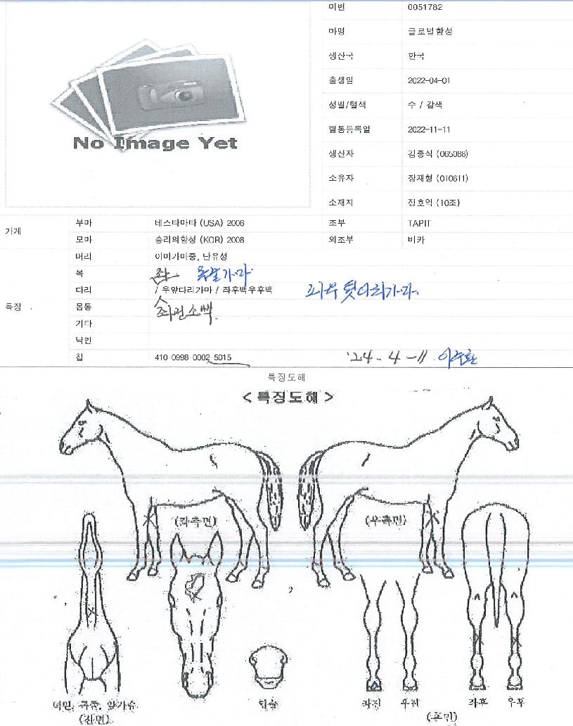 �۷ι��Լ��� ����,���,�޸�,�λ�,�ٸ��� Ư¡����