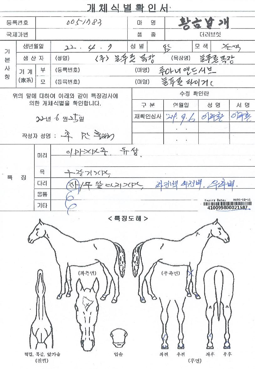 Ȳ±Ý³¯°³ÀÇ Ãø¸é,¿ì¸é,µÞ¸é,µÎ»ó,´Ù¸®ÀÇ Æ¯Â¡µµÇØ