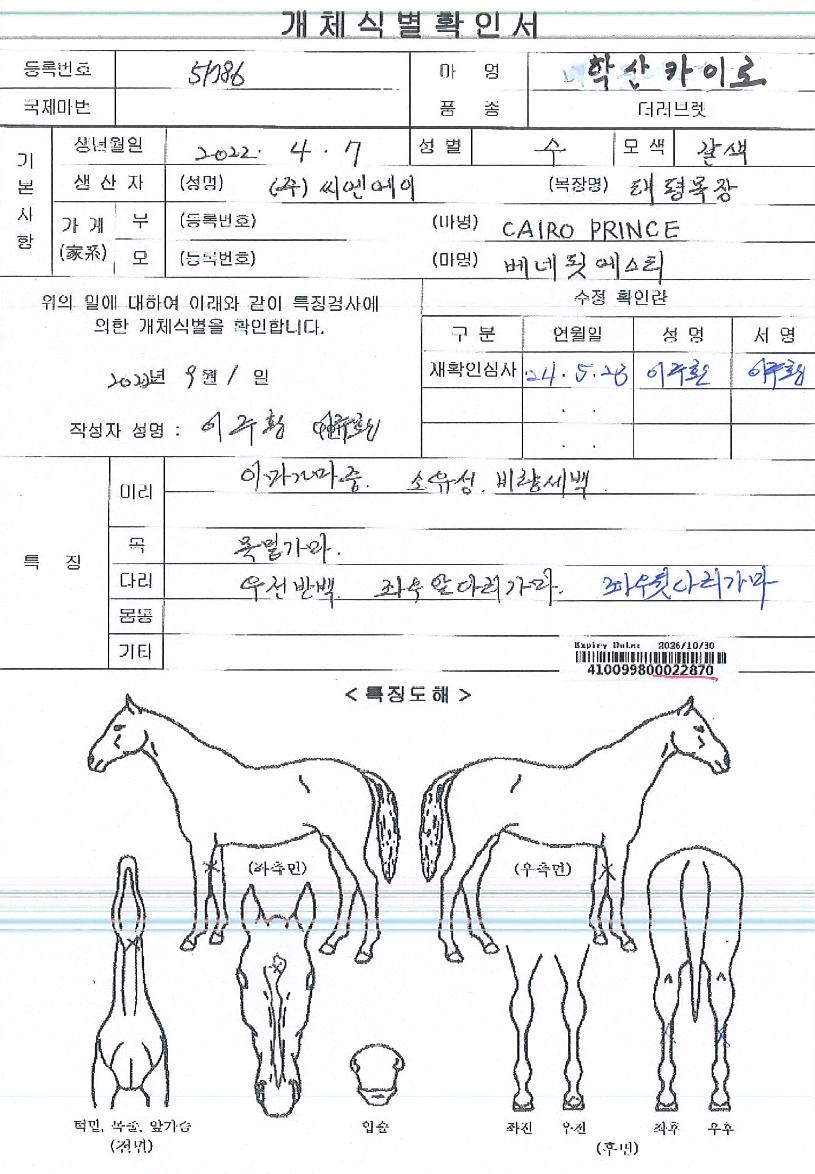 �л�ī�̷��� ����,���,�޸�,�λ�,�ٸ��� Ư¡����