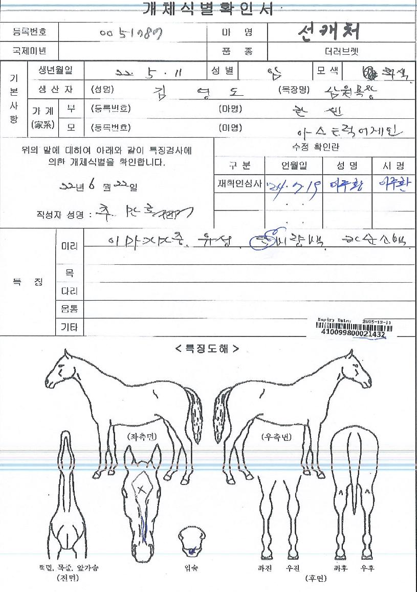 ��ĳó�� ����,���,�޸�,�λ�,�ٸ��� Ư¡����