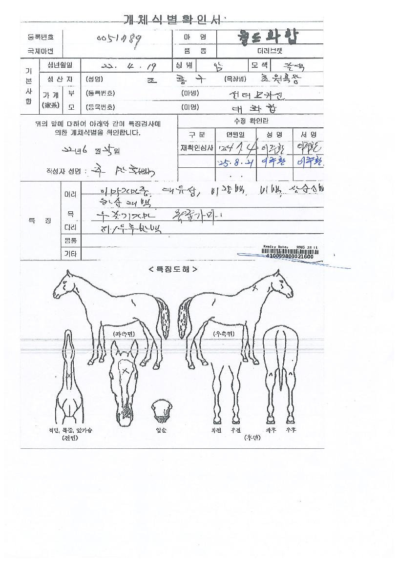 ¿ùµåÈÇÕÀÇ Ãø¸é,¿ì¸é,µÞ¸é,µÎ»ó,´Ù¸®ÀÇ Æ¯Â¡µµÇØ