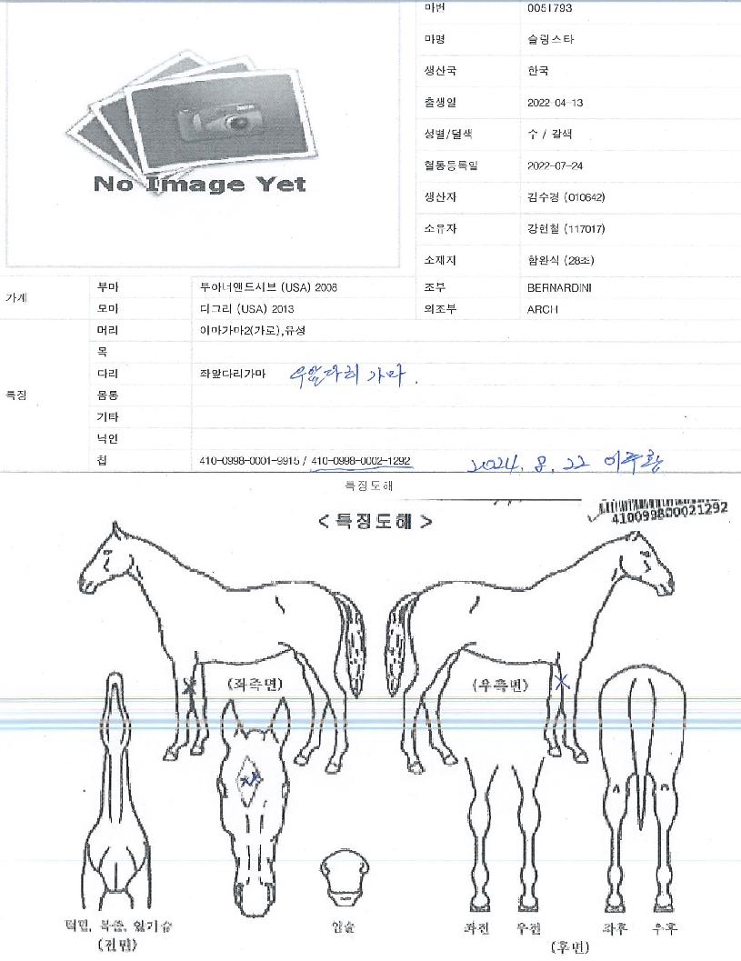 ������Ÿ�� ����,���,�޸�,�λ�,�ٸ��� Ư¡����