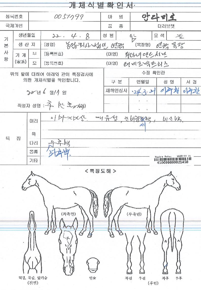 �ȴٹ̷��� ����,���,�޸�,�λ�,�ٸ��� Ư¡����