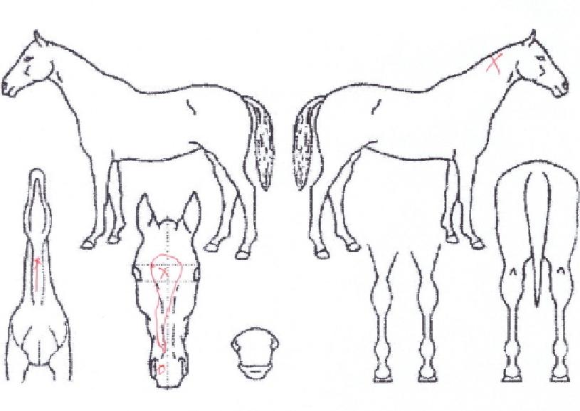 �ö��׷��̽��� ����,���,�޸�,�λ�,�ٸ��� Ư¡����