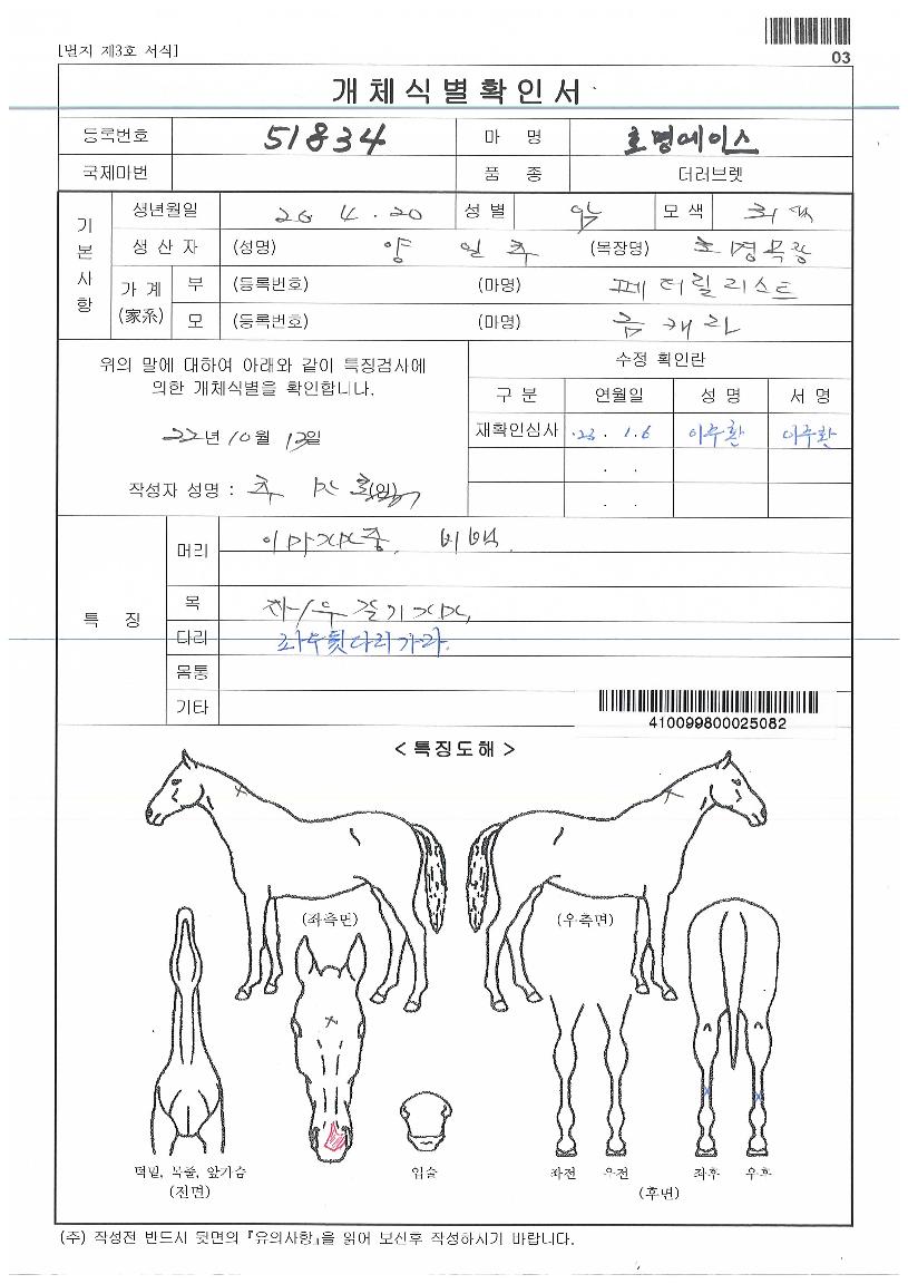 ȣ�����̽��� ����,���,�޸�,�λ�,�ٸ��� Ư¡����