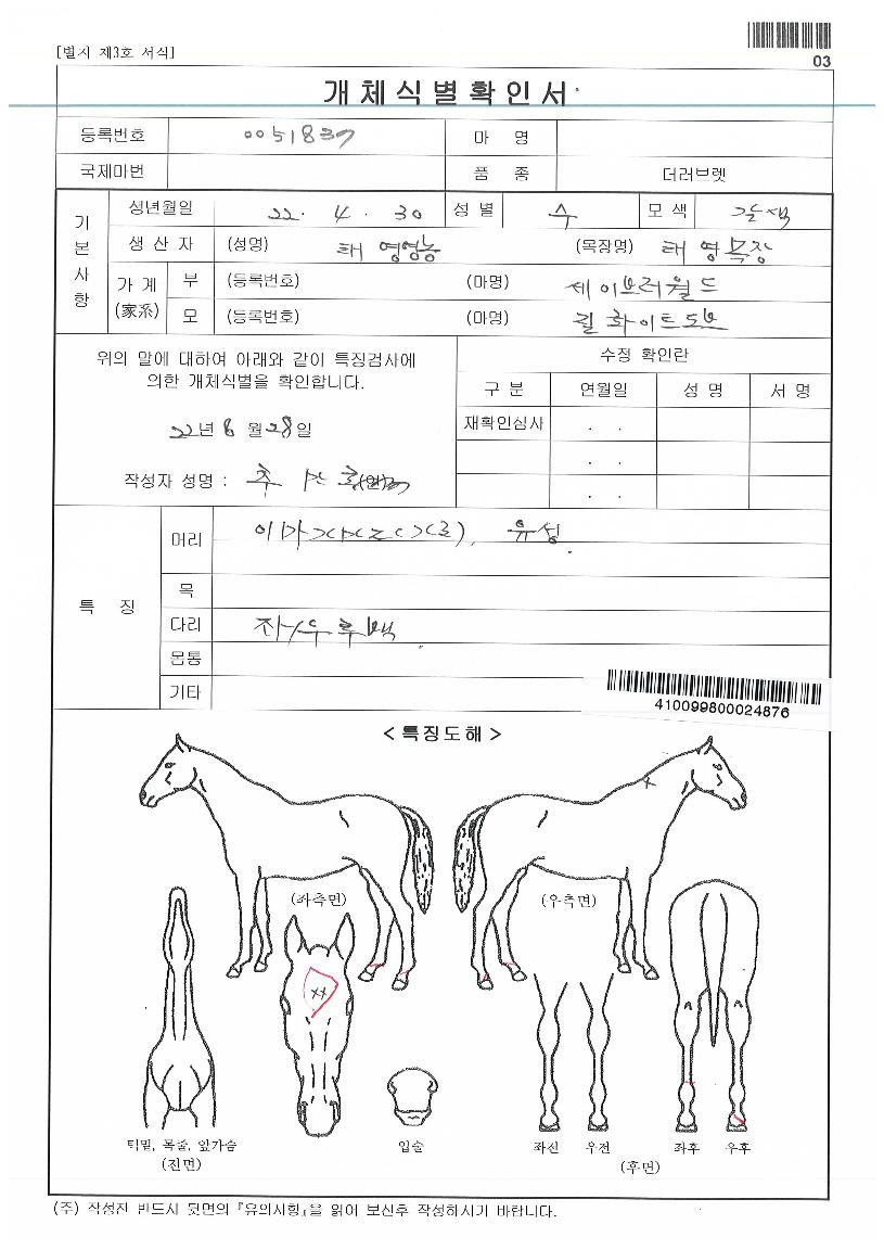 ¸±ÈÀÌÆ®µµºêÀÚ¸¶ÀÇ Ãø¸é,¿ì¸é,µÞ¸é,µÎ»ó,´Ù¸®ÀÇ Æ¯Â¡µµÇØ