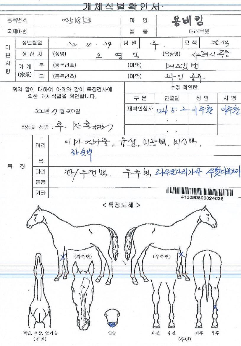 ¿ëºñÅ·ÀÇ Ãø¸é,¿ì¸é,µÞ¸é,µÎ»ó,´Ù¸®ÀÇ Æ¯Â¡µµÇØ