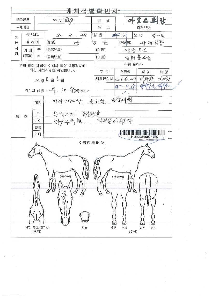 ¾Æ¸ð½ºÃÖ°ÀÇ Ãø¸é,¿ì¸é,µÞ¸é,µÎ»ó,´Ù¸®ÀÇ Æ¯Â¡µµÇØ