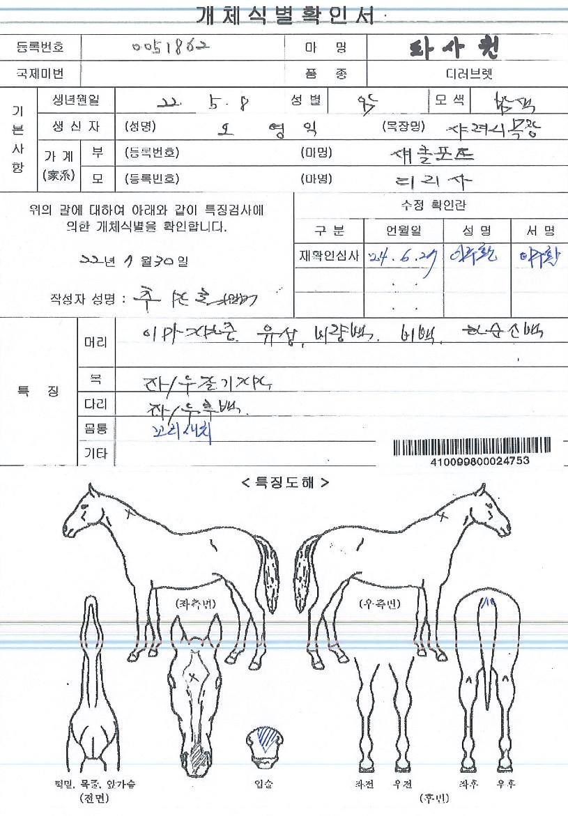 ÆÄ»çÄýÀÇ Ãø¸é,¿ì¸é,µÞ¸é,µÎ»ó,´Ù¸®ÀÇ Æ¯Â¡µµÇØ