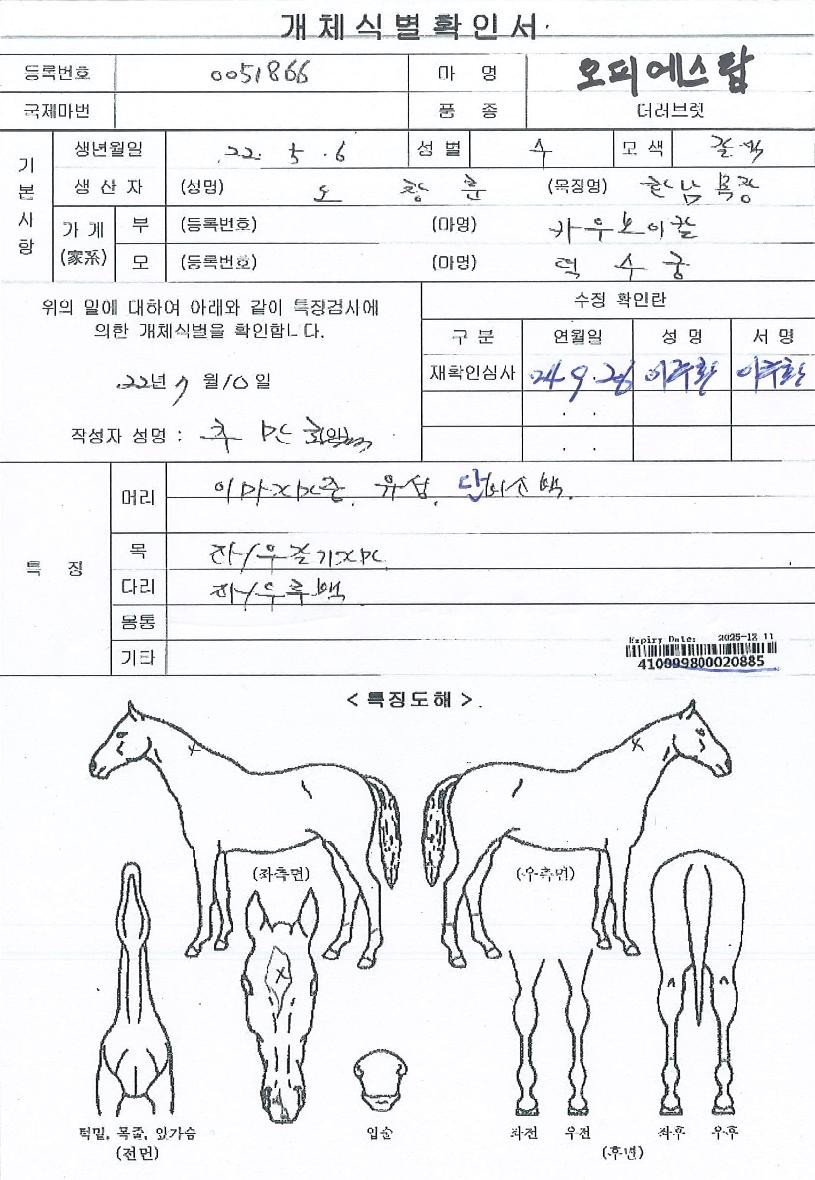 ���ǿ���ž�� ����,���,�޸�,�λ�,�ٸ��� Ư¡����