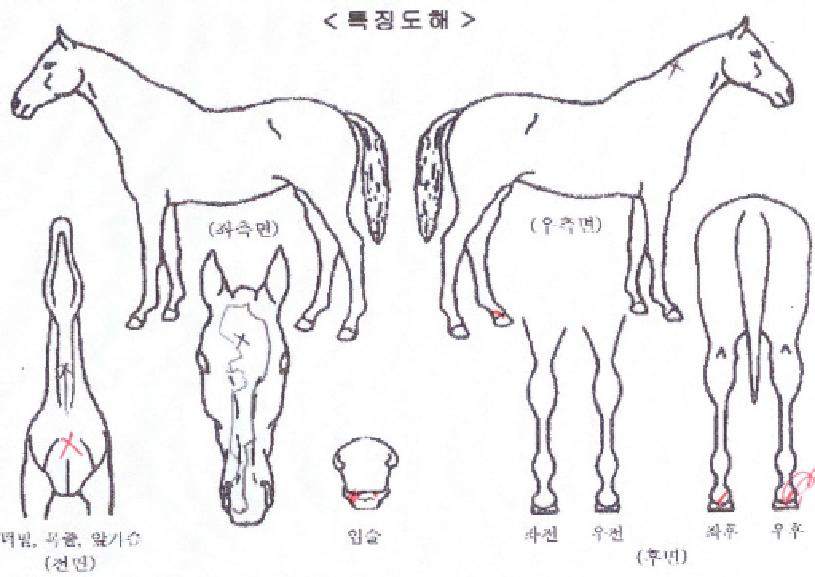 �������� ����,���,�޸�,�λ�,�ٸ��� Ư¡����