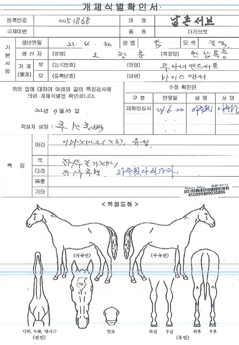 ³²Ã̼ºêÀÇ Ãø¸é,¿ì¸é,µÞ¸é,µÎ»ó,´Ù¸®ÀÇ Æ¯Â¡µµÇØ