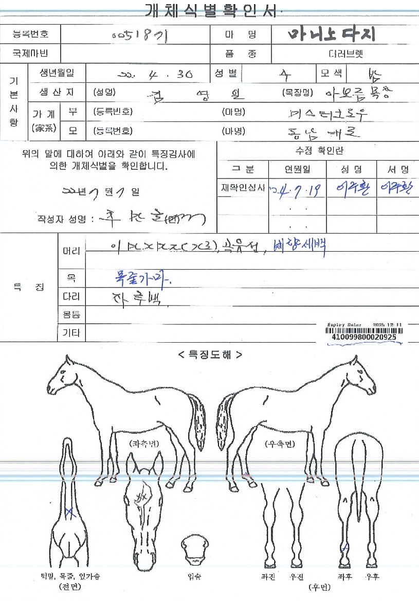 ¸¶´Ï³ë´ÙÁöÀÇ Ãø¸é,¿ì¸é,µÞ¸é,µÎ»ó,´Ù¸®ÀÇ Æ¯Â¡µµÇØ