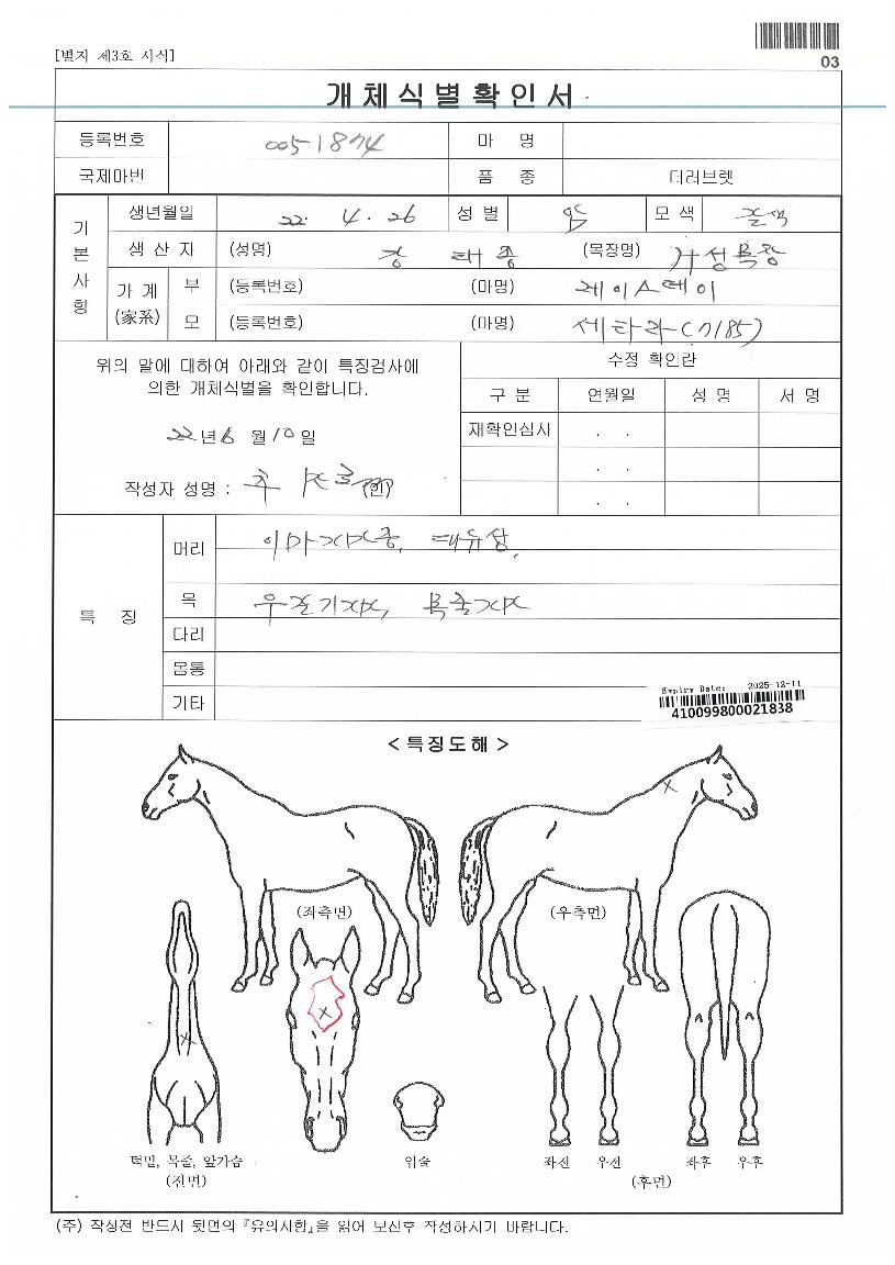 �����̽��� ����,���,�޸�,�λ�,�ٸ��� Ư¡����