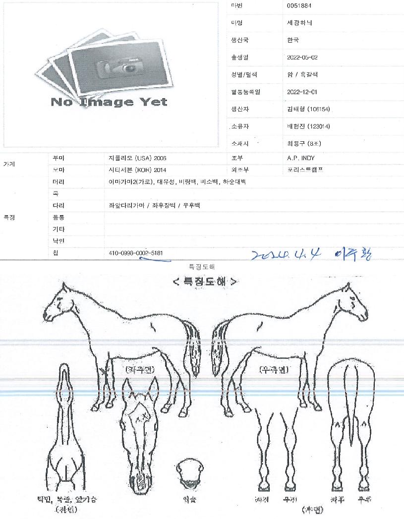 ¼¼±¤ÇÏ´ÌÀÇ Ãø¸é,¿ì¸é,µÞ¸é,µÎ»ó,´Ù¸®ÀÇ Æ¯Â¡µµÇØ